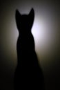 Silhouette of an Egyptian cat Royalty Free Stock Photo