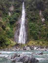 Waterfall in New Zealand Native Bush on the West Coast. Royalty Free Stock Photo