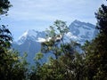 Mountain view in New Zealand on the Copland Walking Track. Royalty Free Stock Photo