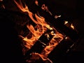 Wood campfire burning in the dark. Royalty Free Stock Photo