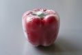 Red bell pepper sealed in plastic wrap on a grey background