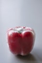 Red bell pepper sealed in plastic wrap on a grey background