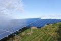 Blue solar cells in a solar panels power farm Royalty Free Stock Photo