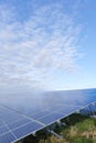 Blue solar cells in a solar panels power farm Royalty Free Stock Photo