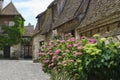 View at old houses with pink and white hydrangea flowers in Carennac France Royalty Free Stock Photo