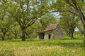 Old natural stone barn in a field of walnut trees in summer un France Royalty Free Stock Photo