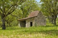 Old natural stone barn in a field of walnut trees in summer un France Royalty Free Stock Photo