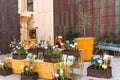 Dsiplay of herbs and plants in a museum in Marseille Royalty Free Stock Photo