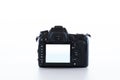 DSLR camera with live view monitor