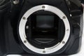 dslr digital camera without body cap showing the mirror and camera sensor, defocused open old dslr digital camera Royalty Free Stock Photo