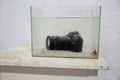 Dslr digital camera submerged in an aquarium