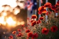 anzac day commemoration scene with poppies and flags