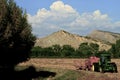 Harvest Hay Near Utah Royalty Free Stock Photo