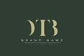 DTB abstract letter logo design Royalty Free Stock Photo