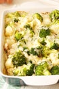 Dual cabbage casserole with chicken and quinoa Royalty Free Stock Photo