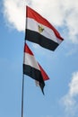 Dual Egypt Flags Royalty Free Stock Photo