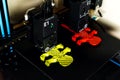 Dual extruder 3d printer which is printing two bicolor model, idex technology