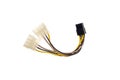 Dual Molex to 6 pin PCIE adapter Royalty Free Stock Photo