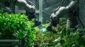 Dual Robotic Arms in Hydroponic Farming Setup