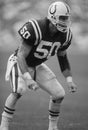 Duane Bickett Indianapolis Colts. Royalty Free Stock Photo