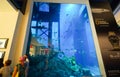 The Dubai Aquarium & Underwater Zoo in Dubai Mal Royalty Free Stock Photo