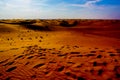 Dubai Arabian Desert