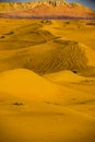Dubai Arabian Desert