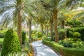 Dubai, Beautiful park at Palm Jumeirah at sunny day