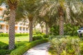 Dubai, Beautiful park at Palm Jumeirah at sunny day