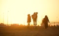 Dubai camel racing club sunset silhouettes of camels