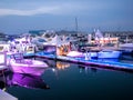 Dubai epic boat show at sunset