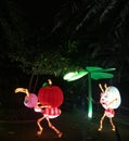 Dubai Glow Park - Glowing Ants!!