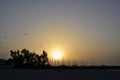 Dubai Kite beach at sunset Jumeirah, Dubai, United Arab Emirates Royalty Free Stock Photo