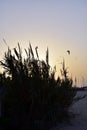 Dubai Kite beach at sunset Jumeirah, Dubai, United Arab Emirates Royalty Free Stock Photo