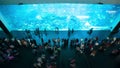 Dubai mall aquarium time lapse with people near