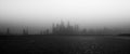 Dubai Marina - In darkness and fog