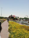 Dubai miracle garden beautifully arranged