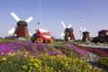 Dubai Miracle Garden with Car Display