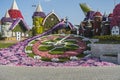 Dubai miracle garden Royalty Free Stock Photo