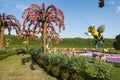 Dubai miracle garden