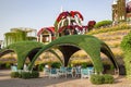 Dubai Miracle Garden with fairy castles and with has over 45 million flowers.