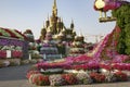 Dubai Miracle Garden with fairy castles and with has over 45 million flowers.