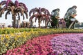 Dubai Miracle Garden, Dubai Land, United Arab Emirates
