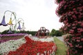 Dubai Miracle garden Royalty Free Stock Photo