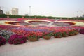 Dubai Miracle Garden Royalty Free Stock Photo
