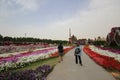 Dubai Miracle Garden Royalty Free Stock Photo