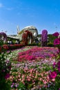 The Enchanting Oasis: Dubai Miracle Garden Unveils Nature\'s Miracles