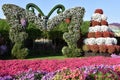 Dubai Miracle Garden in the UAE Royalty Free Stock Photo