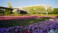 Dubai, UAE - December 14, 2019: Dubai miracle garden: the world`s largest natural flower garden. Setting real aircraft Royalty Free Stock Photo