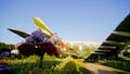 Dubai, UAE - December 14, 2019: Dubai miracle garden: the world`s largest natural flower garden. Setting real aircraft Royalty Free Stock Photo